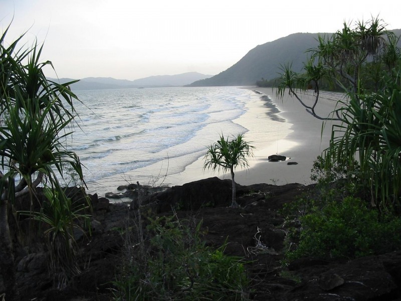 136 Buchanan. Creek Road COW BAY, Daintree QLD 4873