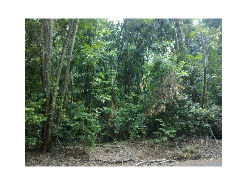136 Buchanan. Creek Road COW BAY, Daintree QLD 4873
