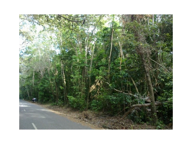136 Buchanan. Creek Road COW BAY, Daintree QLD 4873