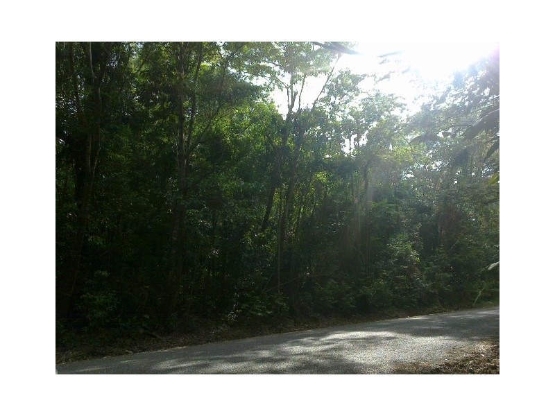 136 Buchanan. Creek Road COW BAY, Daintree QLD 4873