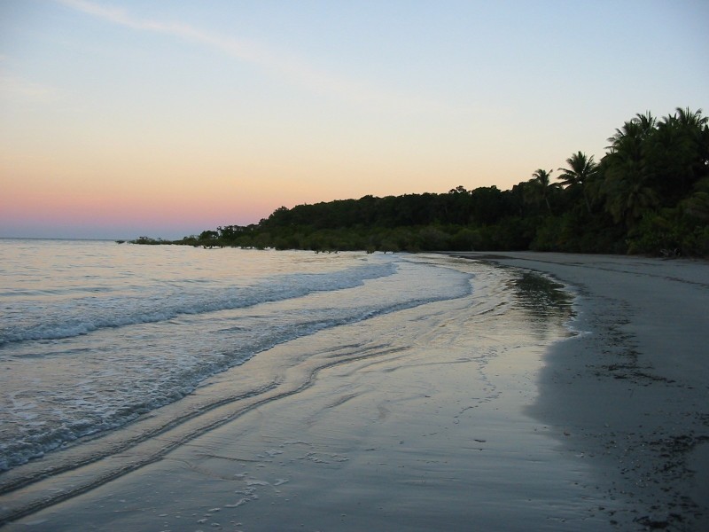 136 Buchanan. Creek Road COW BAY, Daintree QLD 4873