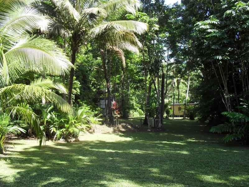 L335 (R1475) Cape Tribulation Road Cow Bay, Daintree QLD 4873