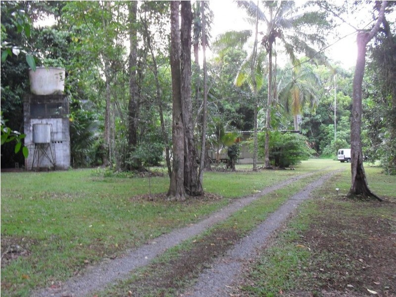 L335 (R1475) Cape Tribulation Road Cow Bay, Daintree QLD 4873