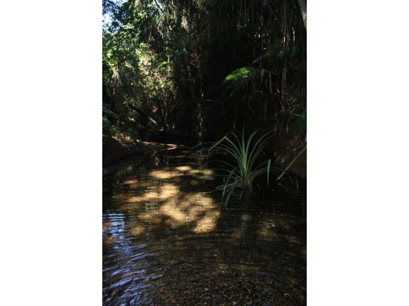 L335 (R1475) Cape Tribulation Road Cow Bay, Daintree QLD 4873