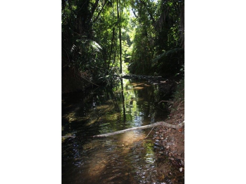 L335 (R1475) Cape Tribulation Road Cow Bay, Daintree QLD 4873