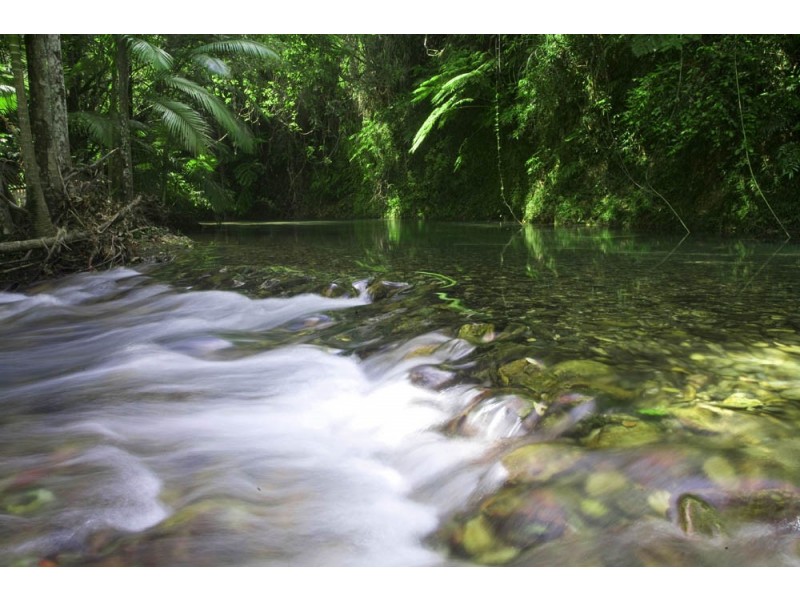 Lot 37 Mahogany Road DIWAN, Daintree QLD 4873