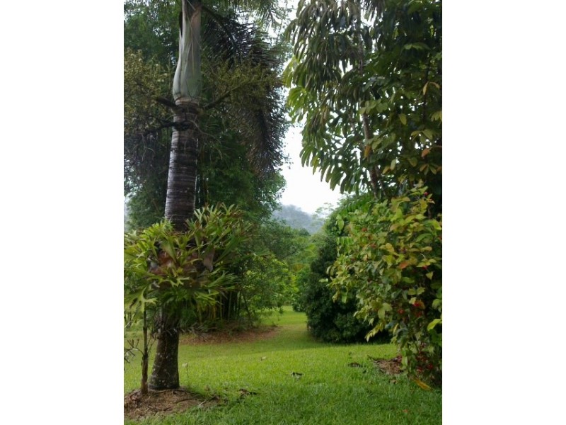 Lot 37 Mahogany Road DIWAN, Daintree QLD 4873
