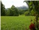 Lot 37 Mahogany Road DIWAN, Daintree QLD 4873