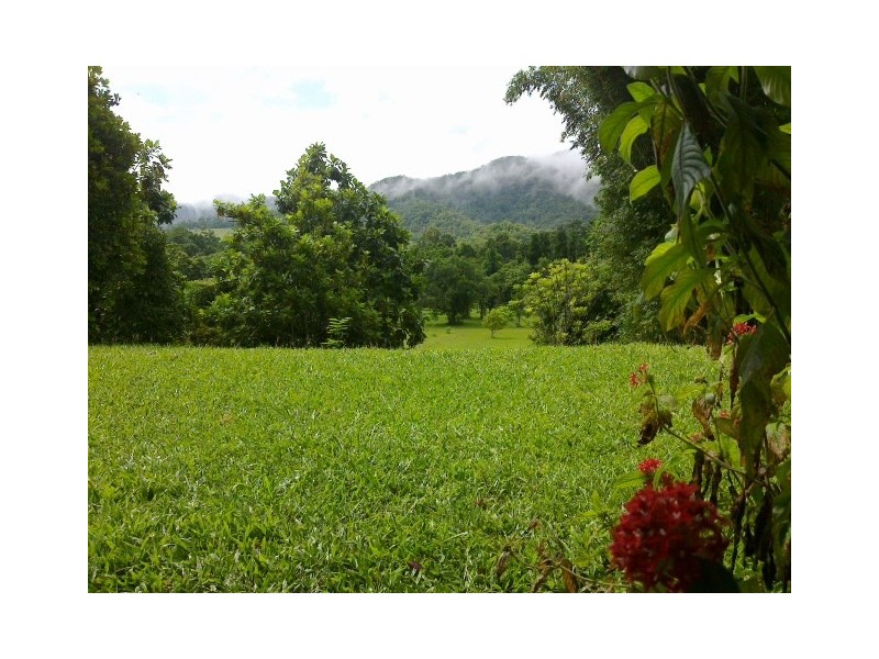 Lot 37 Mahogany Road DIWAN, Daintree QLD 4873