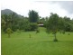 Lot 37 Mahogany Road DIWAN, Daintree QLD 4873
