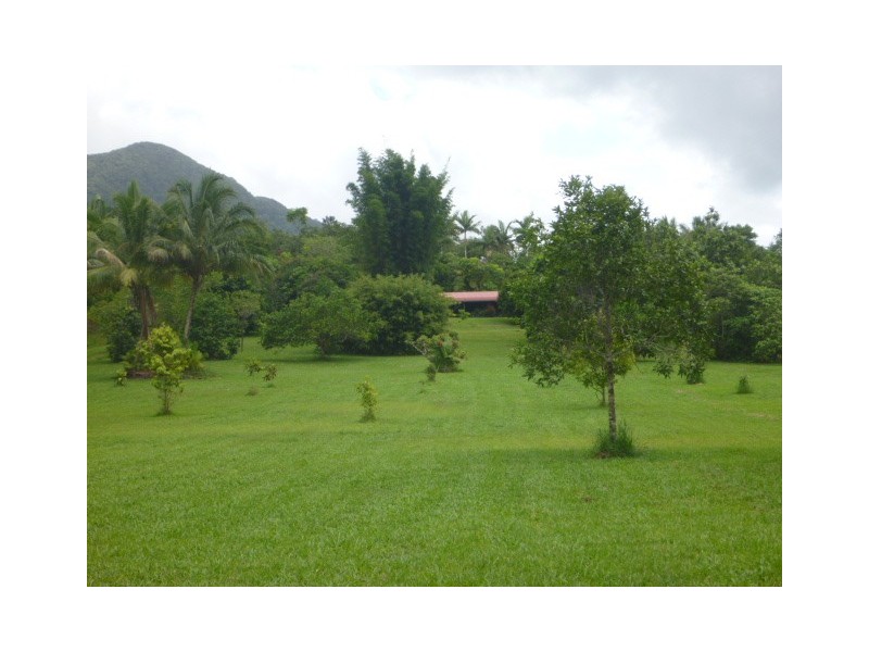 Lot 37 Mahogany Road DIWAN, Daintree QLD 4873