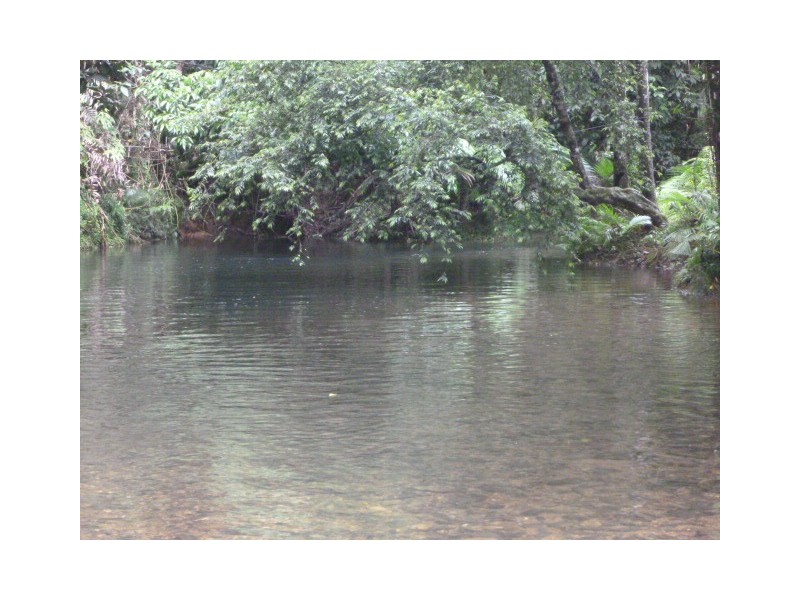 Lot 37 Mahogany Road DIWAN, Daintree QLD 4873