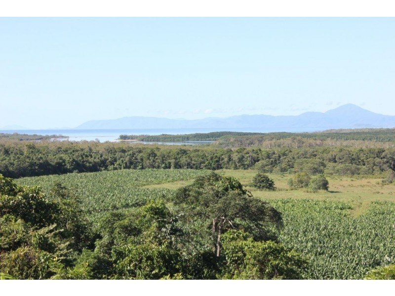 Lot 59 Cape Kimberley Road Cape Kimberley, Daintree QLD 4873