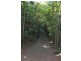 Lot 59 Cape Kimberley Road Cape Kimberley, Daintree QLD 4873