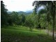 Lot 2 Old Forest Creek Road FOREST CREEK, Daintree QLD 4873