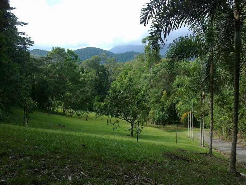 Lot 2 Old Forest Creek Road FOREST CREEK, Daintree QLD 4873