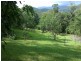 Lot 2 Old Forest Creek Road FOREST CREEK, Daintree QLD 4873