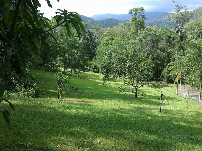 Lot 2 Old Forest Creek Road FOREST CREEK, Daintree QLD 4873