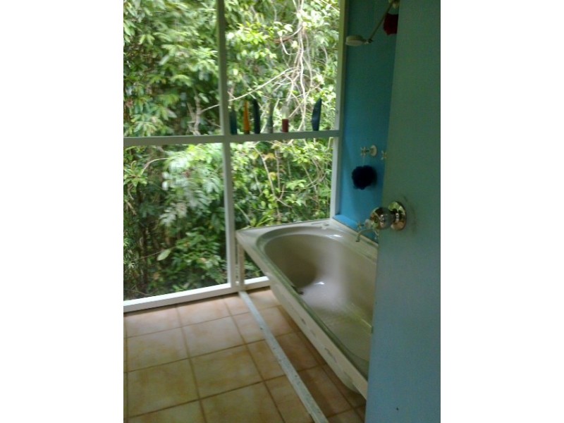 Lot 2 Old Forest Creek Road FOREST CREEK, Daintree QLD 4873