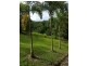 Lot 2 Old Forest Creek Road FOREST CREEK, Daintree QLD 4873