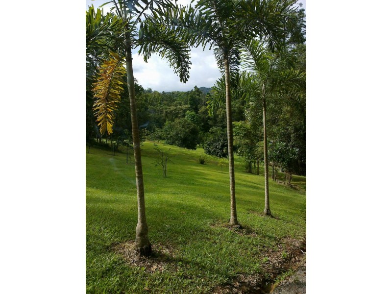 Lot 2 Old Forest Creek Road FOREST CREEK, Daintree QLD 4873