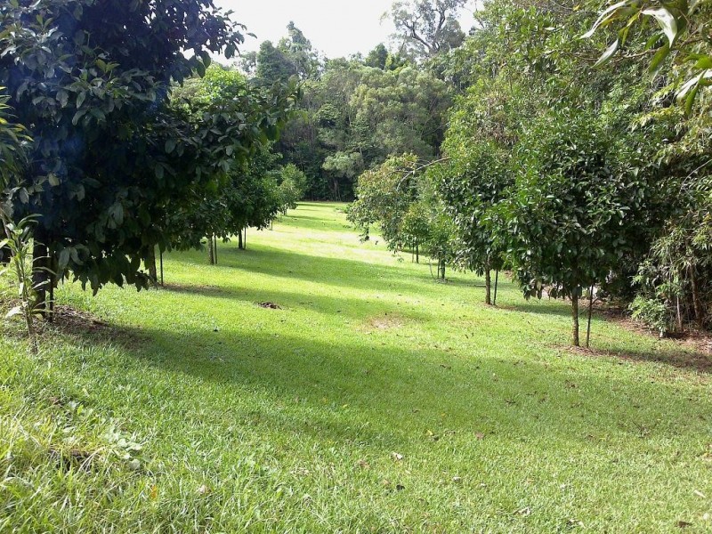 Lot 2 Old Forest Creek Road FOREST CREEK, Daintree QLD 4873