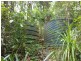 Lot 2 Old Forest Creek Road FOREST CREEK, Daintree QLD 4873