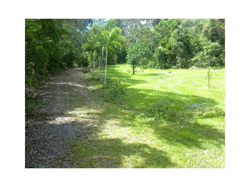 Lot 2 Old Forest Creek Road FOREST CREEK, Daintree QLD 4873