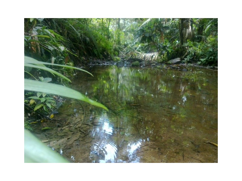 Lot 158 Candlenut Road DIWAN, Daintree QLD 4873