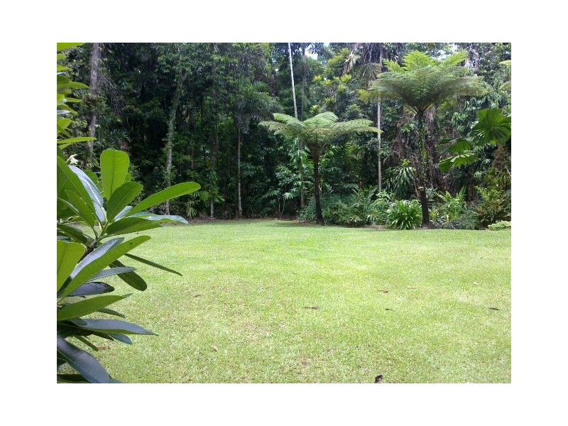 Lot 158 Candlenut Road DIWAN, Daintree QLD 4873