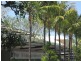 203/68 Macrossan St (Coconut Grove), Port Douglas QLD 4877