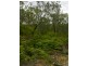 Lot 4 Thornton Peak Drive FOREST CREEK, Daintree QLD 4873