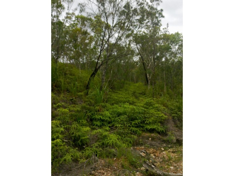 Lot 4 Thornton Peak Drive FOREST CREEK, Daintree QLD 4873