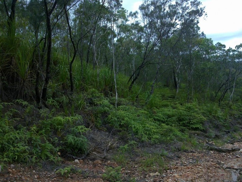Lot 4 Thornton Peak Drive FOREST CREEK, Daintree QLD 4873