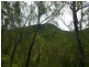 Lot 4 Thornton Peak Drive FOREST CREEK, Daintree QLD 4873