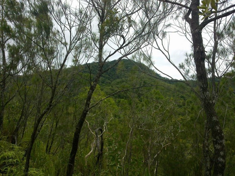 Lot 4 Thornton Peak Drive FOREST CREEK, Daintree QLD 4873