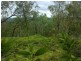 Lot 4 Thornton Peak Drive FOREST CREEK, Daintree QLD 4873