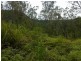 Lot 4 Thornton Peak Drive FOREST CREEK, Daintree QLD 4873