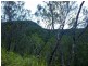 Lot 4 Thornton Peak Drive FOREST CREEK, Daintree QLD 4873