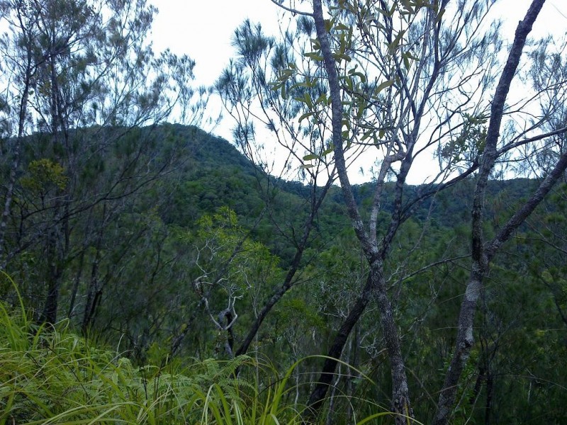 Lot 4 Thornton Peak Drive FOREST CREEK, Daintree QLD 4873
