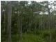 Lot 4 Thornton Peak Drive FOREST CREEK, Daintree QLD 4873