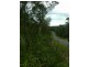 Lot 4 Thornton Peak Drive FOREST CREEK, Daintree QLD 4873