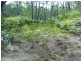 Lot 4 Thornton Peak Drive FOREST CREEK, Daintree QLD 4873