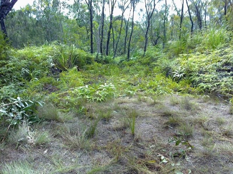 Lot 4 Thornton Peak Drive FOREST CREEK, Daintree QLD 4873