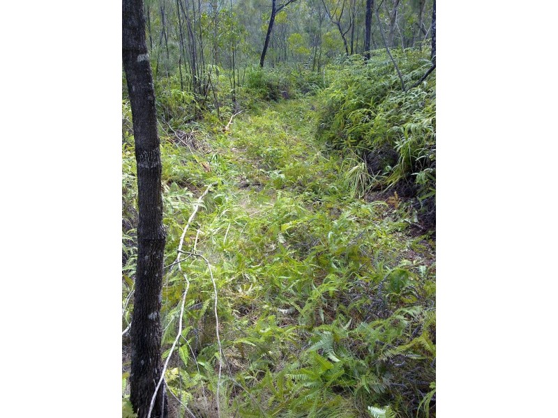 Lot 4 Thornton Peak Drive FOREST CREEK, Daintree QLD 4873
