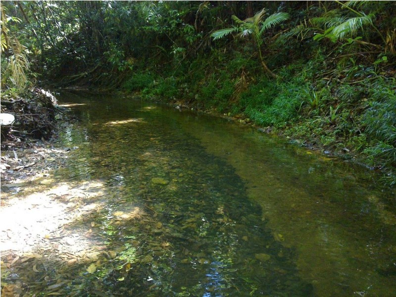 Lot 509 Silver Ash Road COW BAY, Daintree QLD 4873