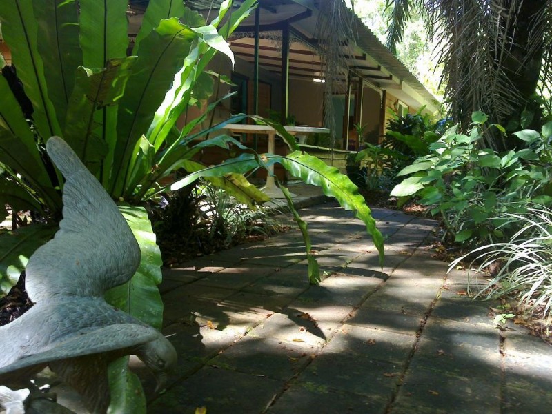 Lot 509 Silver Ash Road COW BAY, Daintree QLD 4873