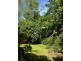 Lot 509 Silver Ash Road COW BAY, Daintree QLD 4873