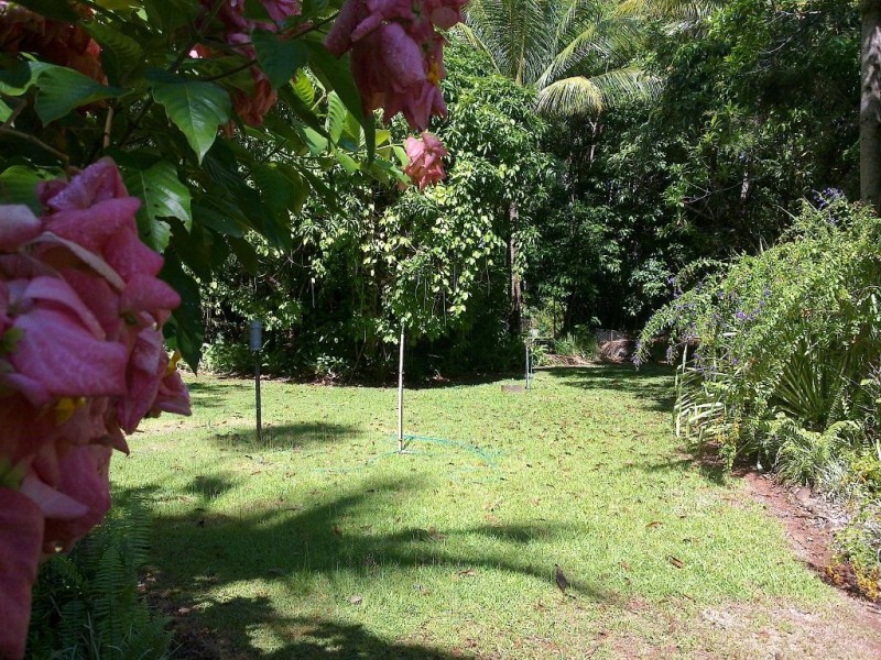 Lot 509 Silver Ash Road COW BAY, Daintree QLD 4873