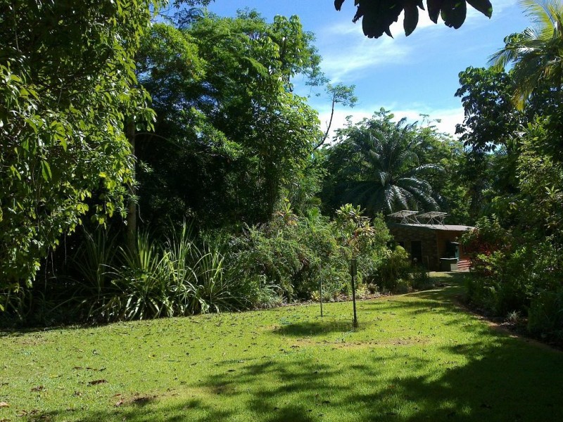 Lot 509 Silver Ash Road COW BAY, Daintree QLD 4873